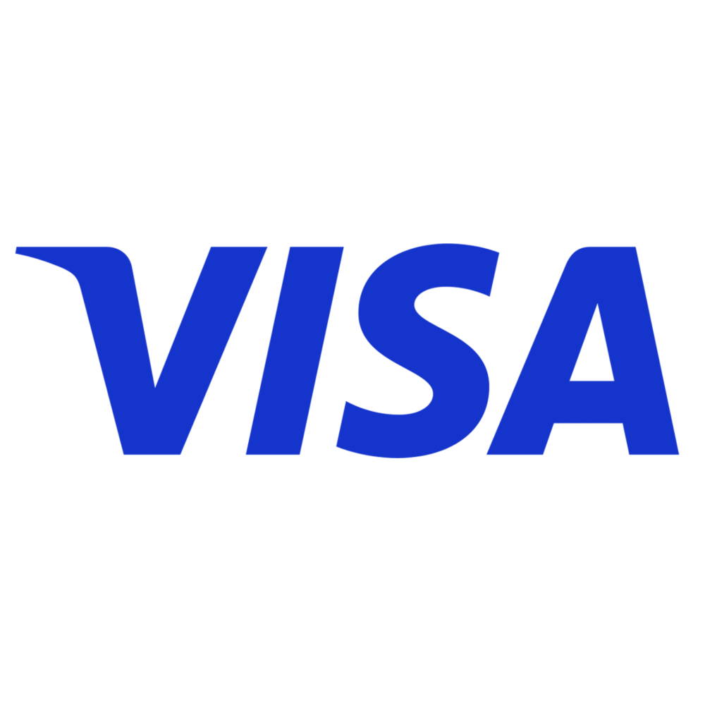 Visa betalingsmulighed