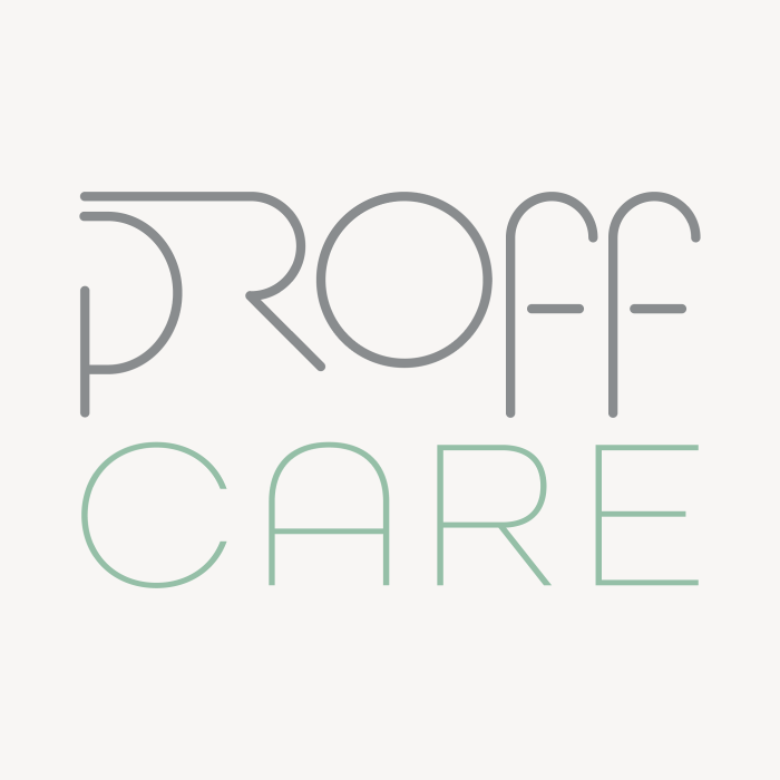 Visa electron betalingsmulighed